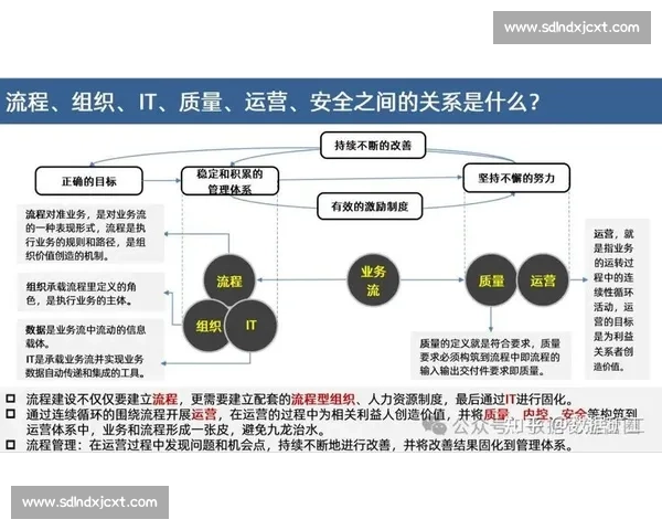 提升企业运营效率的关键策略与实践方法分析